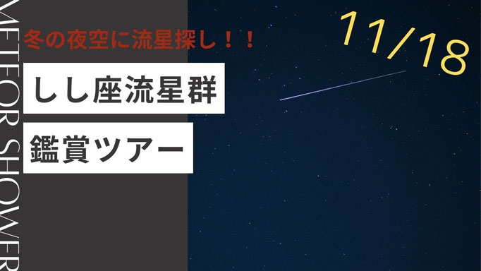 しし座流星群鑑賞ツアー