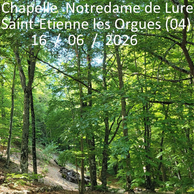 Randonner en Haute-Provence Forcalquier Lure Luberon