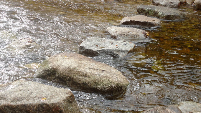 After two days of heavy rain and rising water, the stepping stones still function well