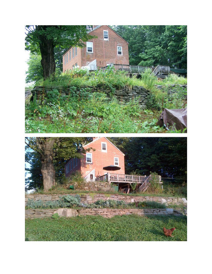 The terraced garden: before and after