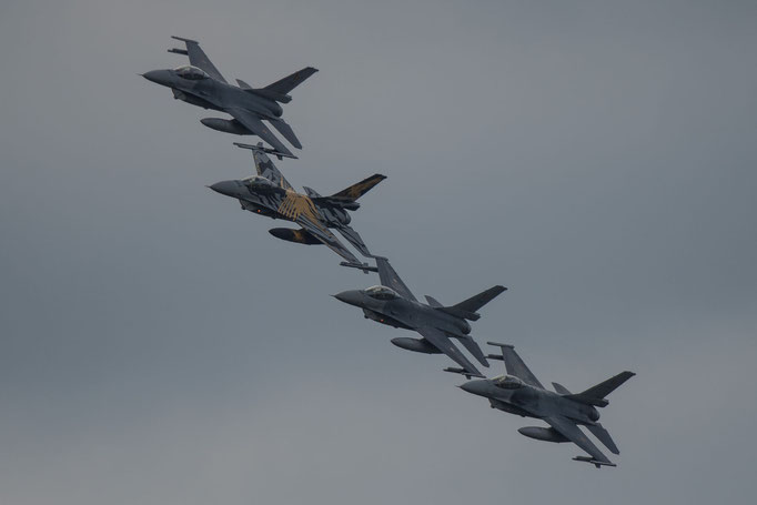 F-16 Fighting Falcon, Thunder Tigers“ der 31. Staffel 