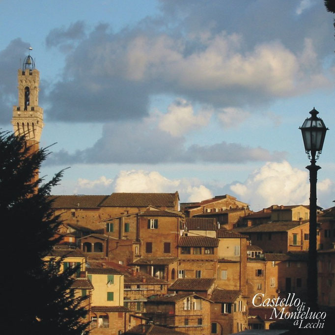 Panorama di Siena • Landscape of Siena