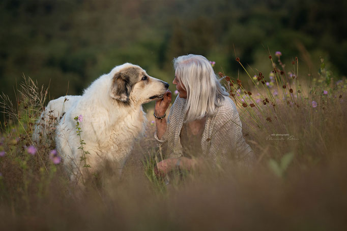 Herzmoment mit altem Hund und seiner Besitzerin