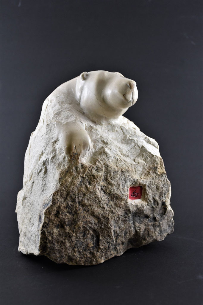 "Patte d'ours" Taille directe; pierre de Bourgogne. 25x20x15 cm