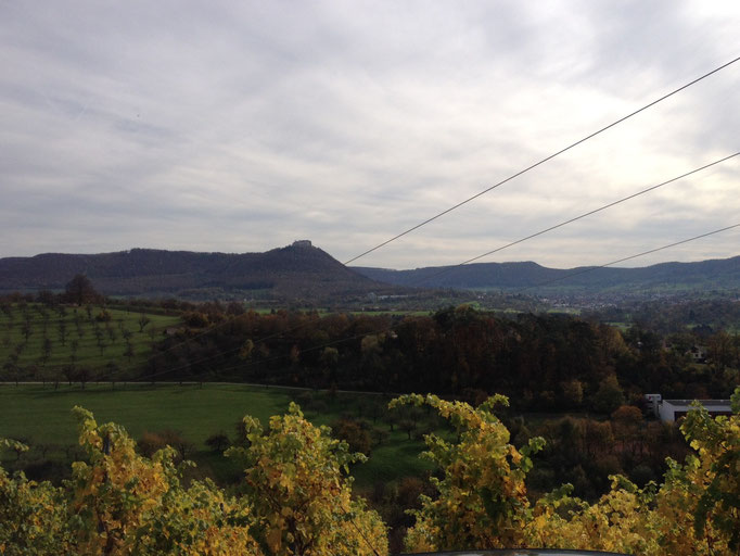 Blick von Linsenhofen übers Tal