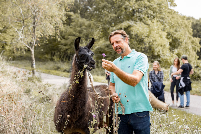 Mann mit Lama