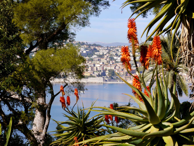 Frankreich, Cote d` Azur