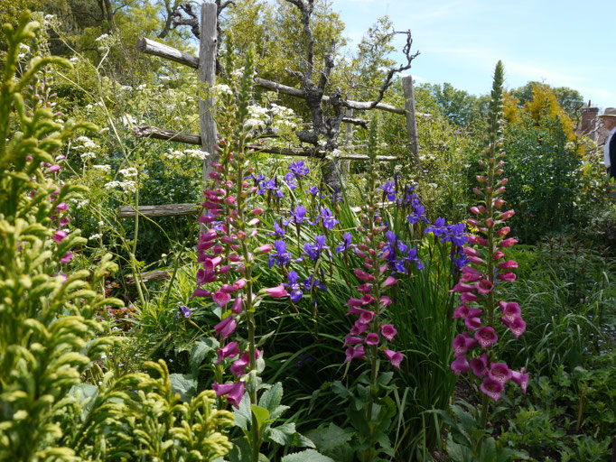 Gartenreise nach England Great Dixter Garden