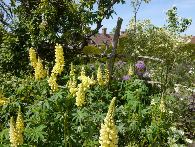 Gartenreise nach England Great Dixter Garden