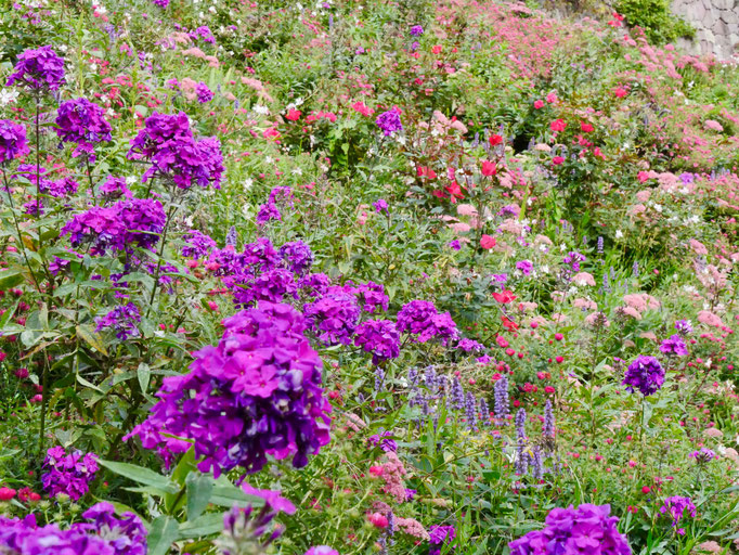 Garten Schloss Trautmannsdorf Meran
