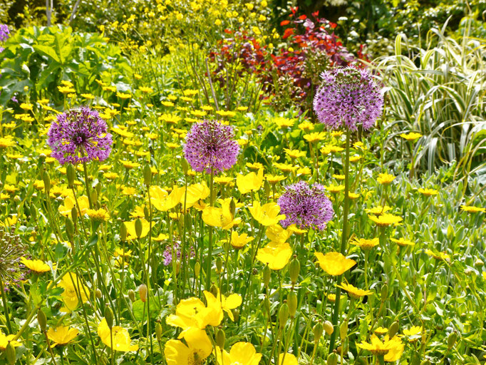 Gartenreise nach England Great Dixter Garden