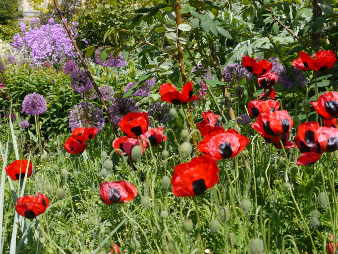 Gartenreise nach England Great Dixter Garden