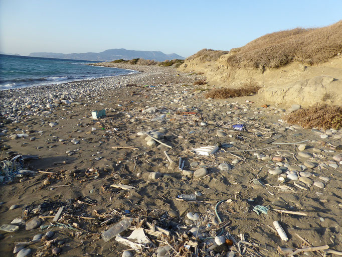 Verdreckter Strand