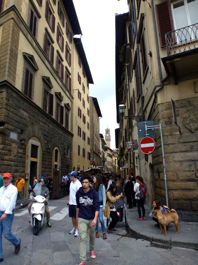 Bild: Altstadt von Florenz