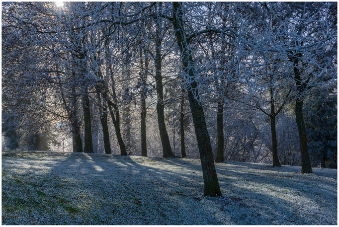 Frostiger Gurten, 858 m.ü.M., Hausberg der Stadt Bern - 27.12.2018 - Bern - Schweiz-Switzerland-Suisse-Svizzera-Svizra