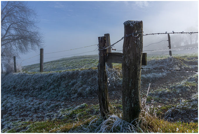 Frostiger Gurten, 858 m.ü.M., Hausberg der Stadt Bern - 27.12.2018 - Bern - Schweiz-Switzerland-Suisse-Svizzera-Svizra