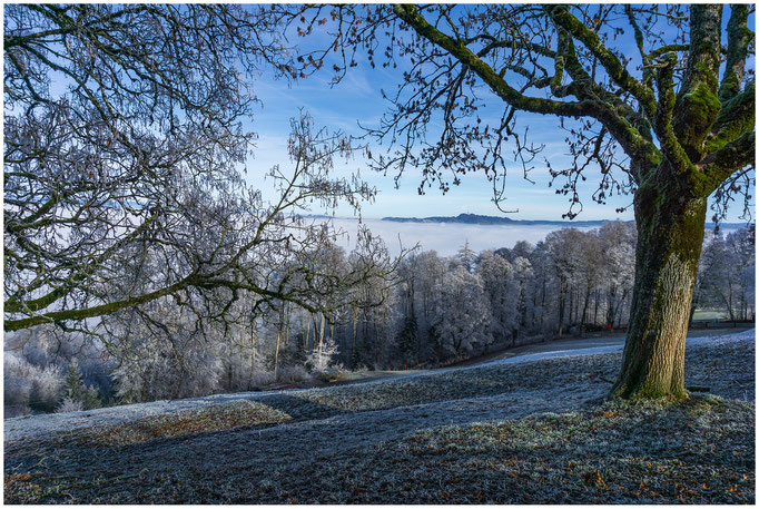 Frostiger Gurten, 858 m.ü.M., Hausberg der Stadt Bern - 27.12.2018 - Bern - Schweiz-Switzerland-Suisse-Svizzera-Svizra