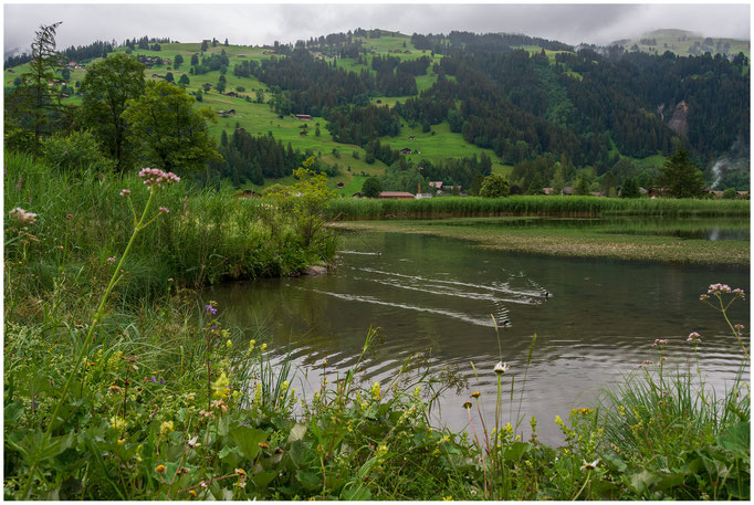 Lenkerseeli, Lenk im Simmental, Juli 2020