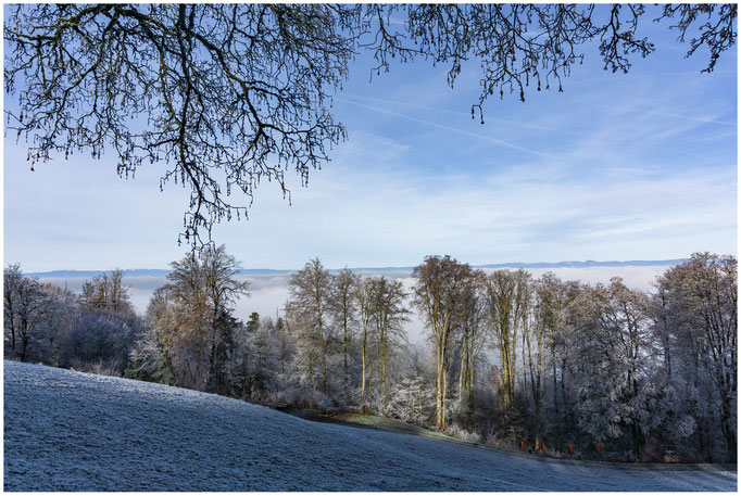 Frostiger Gurten, 858 m.ü.M., Hausberg der Stadt Bern - 27.12.2018 - Bern - Schweiz-Switzerland-Suisse-Svizzera-Svizra