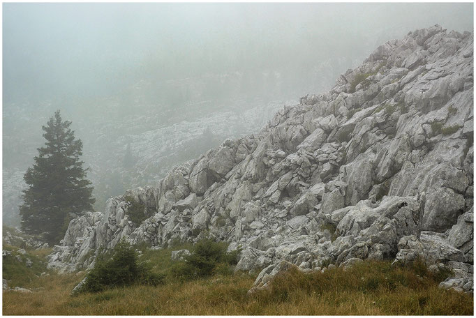 Kemmeriboden-Flühli - Furggengütsch - Ostgrat - Hohganthütte (SAC Emmental) - 13.09.2009