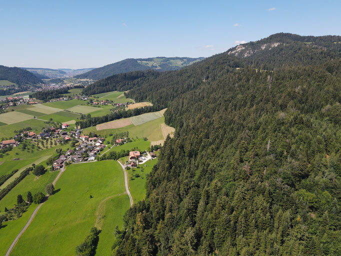 Blick Richtung Falkenfluh - Oberdiessbach