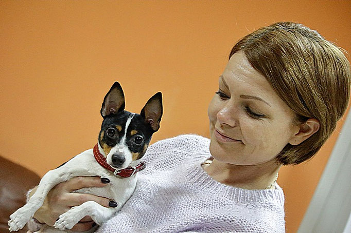 #тойфокстерьер #амертой #террабалтика #toyfoxterrier #terrabaltika #puppies #kennel