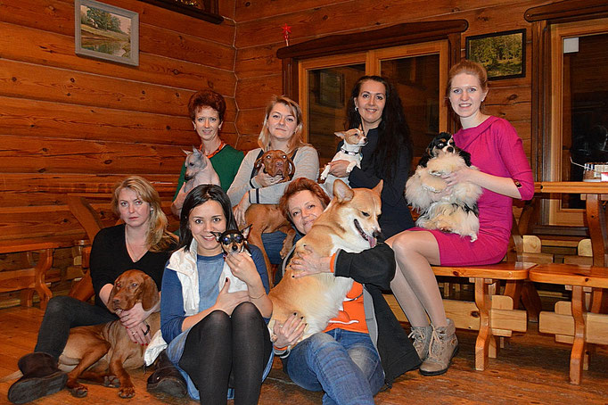 #тойфокстерьер #амертой #террабалтика #toyfoxterrier #terrabaltika #puppies #kennel