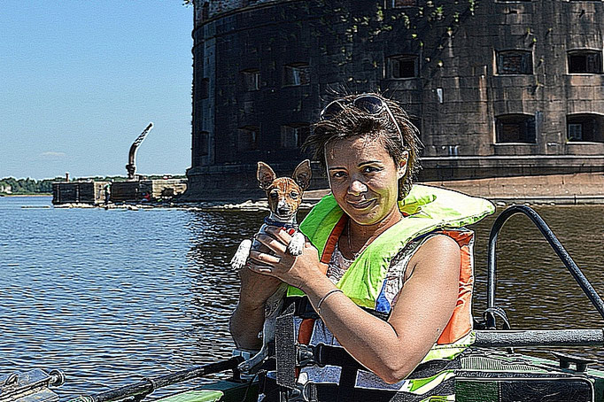 #тойфокстерьер #амертой #террабалтика #toyfoxterrier #terrabaltika #puppies #kennel