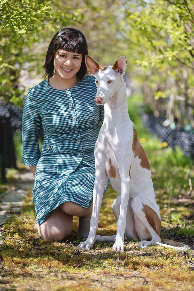 Поденко ибиценко, ибицкая борзая, ивисская борзая, ибизан, Podenco Ibicenco, Ibizan Hound, Terra Baltika, Терра Балтика