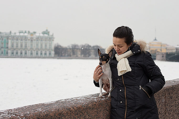 #тойфокстерьер #амертой #террабалтика #toyfoxterrier #terrabaltika #puppies #kennel