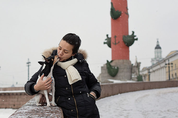 #тойфокстерьер #амертой #террабалтика #toyfoxterrier #terrabaltika #puppies #kennel
