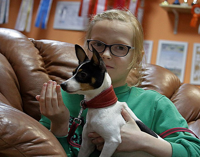 #тойфокстерьер #амертой #террабалтика #toyfoxterrier #terrabaltika #puppies #kennel