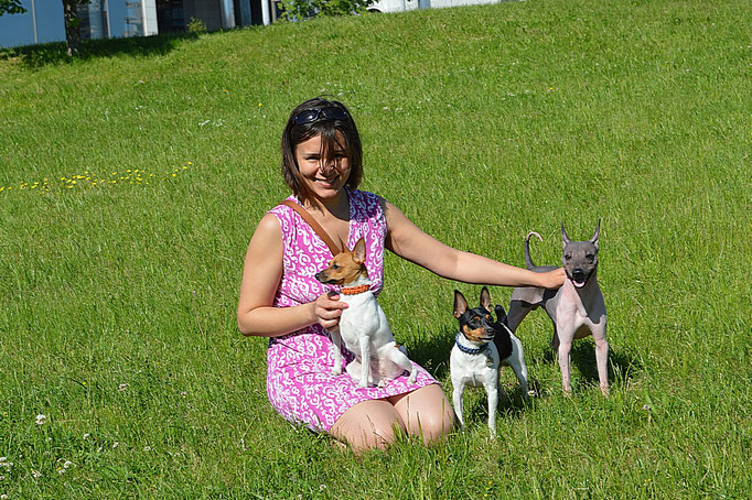 #тойфокстерьер #амертой #террабалтика #toyfoxterrier #terrabaltika #puppies #kennel