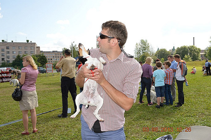#тойфокстерьер #амертой #террабалтика #toyfoxterrier #terrabaltika #puppies #kennel