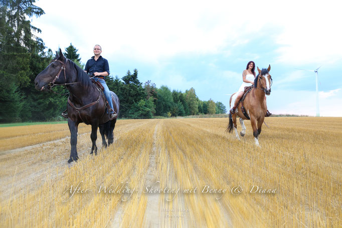 After Wedding Shooting im Ostalbkreis, Fotograf Markus Metzger, Brautpaar auf Pferden im Feld mit Brautkleid, Outdoor Fotos, www.markus1.de