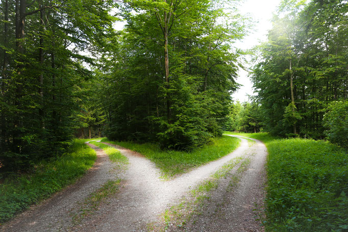 Herz im Wald, Foto Herz im Wald Weg, im Ostalbkreis, Grenzgebiet Rems-Murr-Kreis, auf https://www.markus1.de, von Markus Metzger, fotograf, rems murr kreis