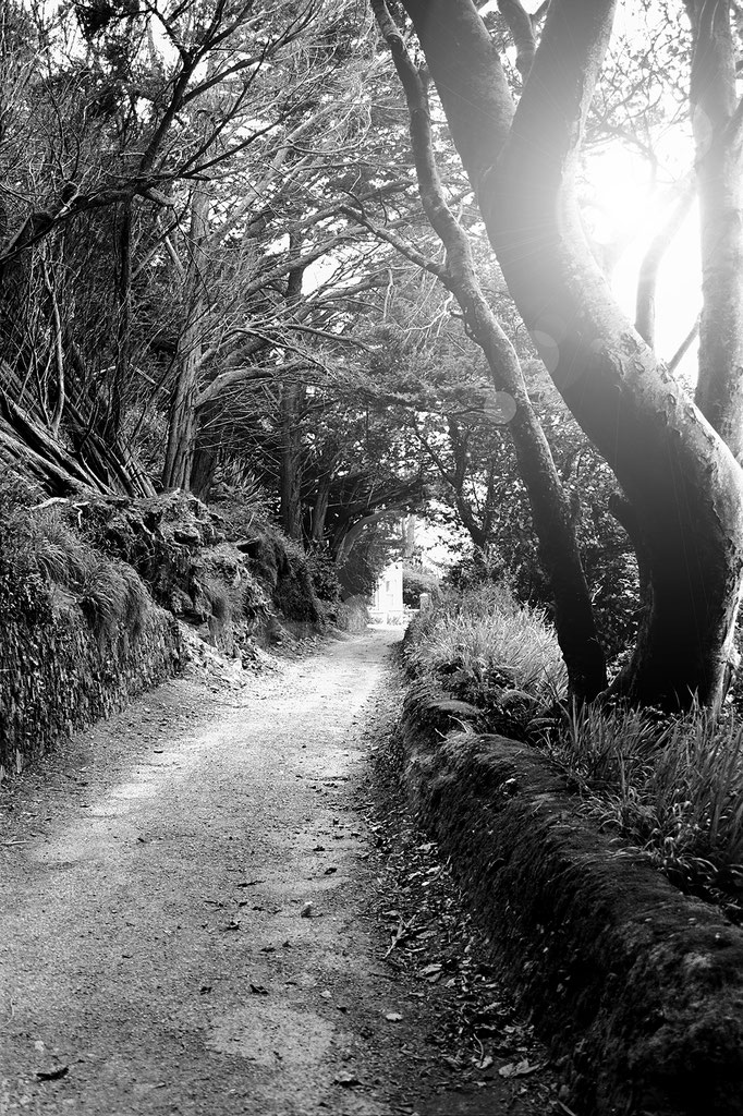 Éire: Kinsale: Scilly Walk