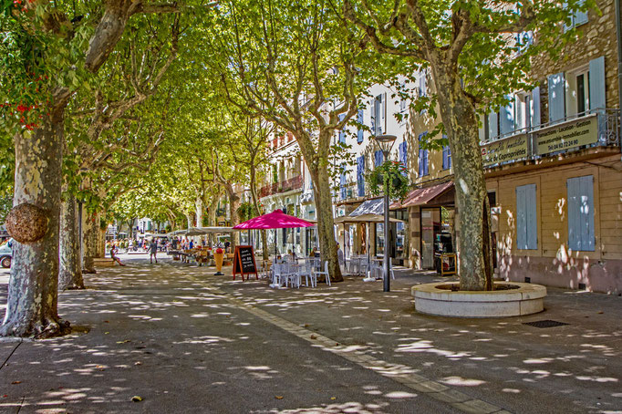 Charakteristisch sind die Platanen in Manosque, die an heißen Tagen einen wunderbaren Schatten spenden