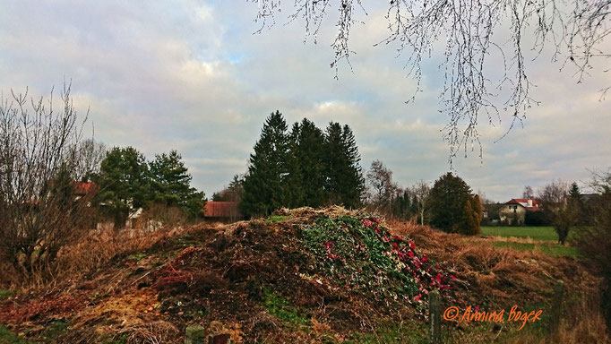 Annina Boger©_Bad Wörishofen_Gärtnerei-Kompost_Bäume_Häuser_1024-72_2020