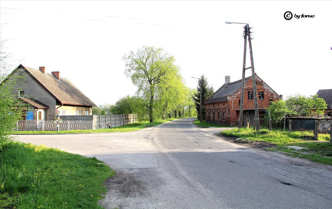 ( li. Reich )