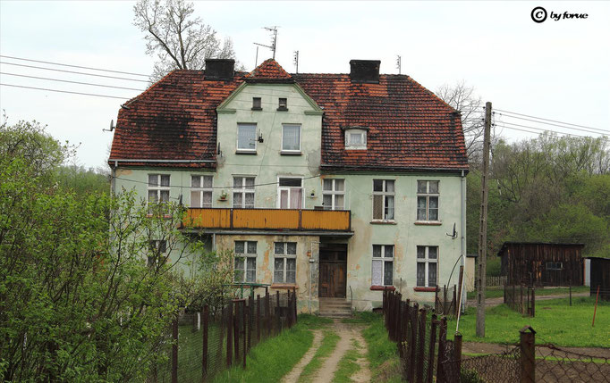 ( Born Gernoth, Kurzbach J., Stern, Wollny )
