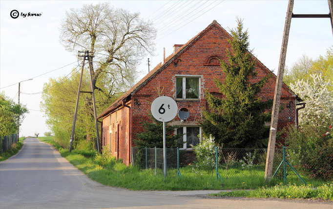 ( Sommerkorn )