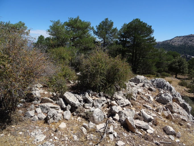 Restos de la vieja caseta de vigilancia del cerro Toril
