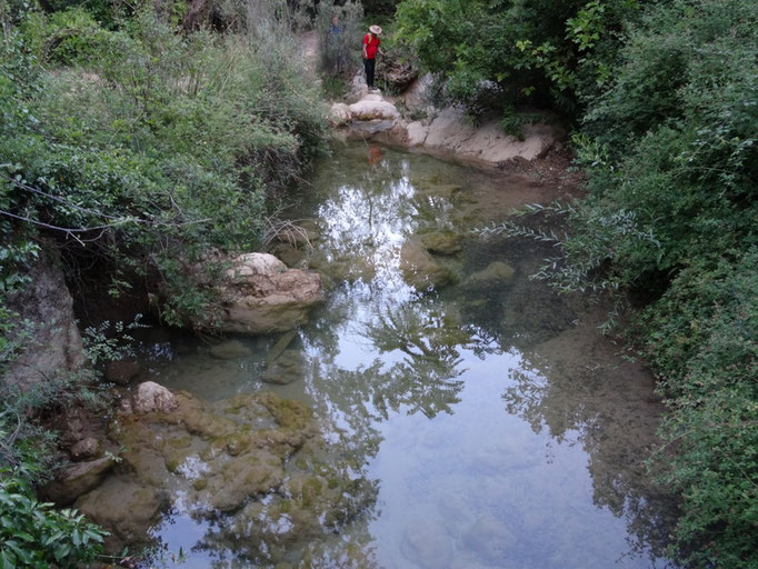 Río Cañamares