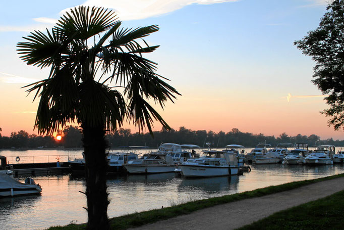 Yachthafen in Weil am Rhein