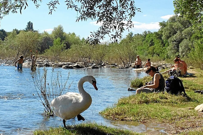 Erholung am Rhein