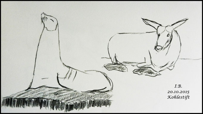 Bleistiftzeichnung Tiere