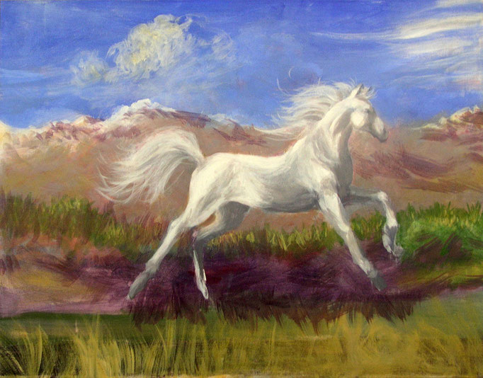 2013 ; White Horse - Oil - 24"x30"