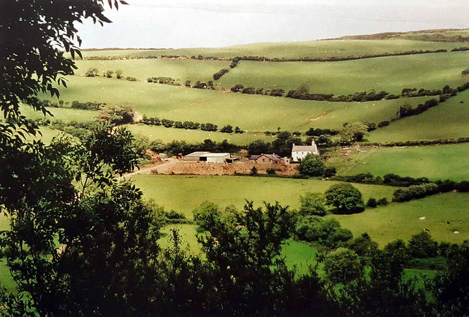 Distant view of the property at East Challacombe, Devon. Courtesy of Anne Ross.