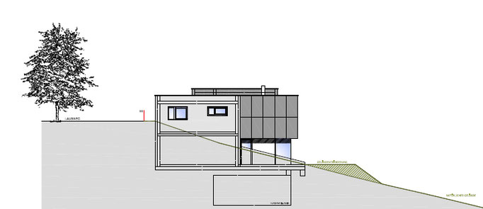 096     EFH - Haas    Entwurf, Stattegg, 2016